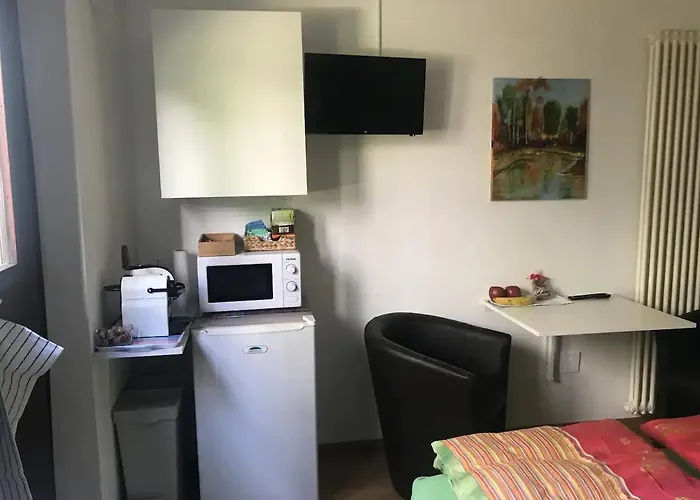 Locarno: Camera Indipendente In Zona Residenziale